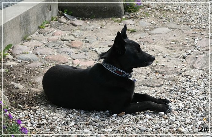 Athea