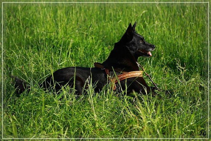 Athea